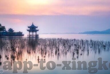 007足球即时比分-007足球即时比分，球迷的实时战场与数据狂欢