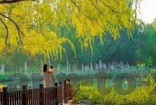 比分直播足球比分直播-揭秘比分直播，足球迷的实时狂欢与数据盛宴