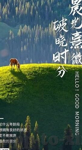 比赛足球比赛比分-绿茵烽火，一场足球比赛比分背后的热血与梦想