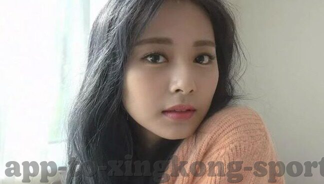t足球比分网-探秘T足球比分网，足球迷的数字战场与数据乐园