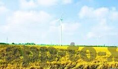 足球比分有疑问-足球比分争议背后，真相、规则与公平竞技的较量