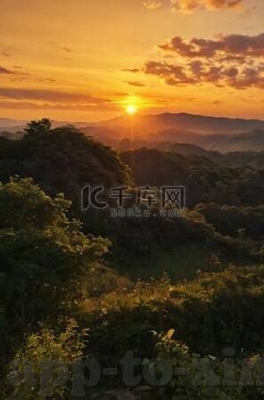 足球球探即时比分-足球球探与即时比分，揭秘绿茵场背后的数据魔法