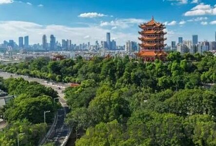 足球最多比分-足球史上最多比分的传奇之战，一场数字背后的热血与激情